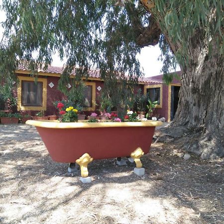 Las Virtudes Casa Del Procurador 게스트하우스 외부 사진