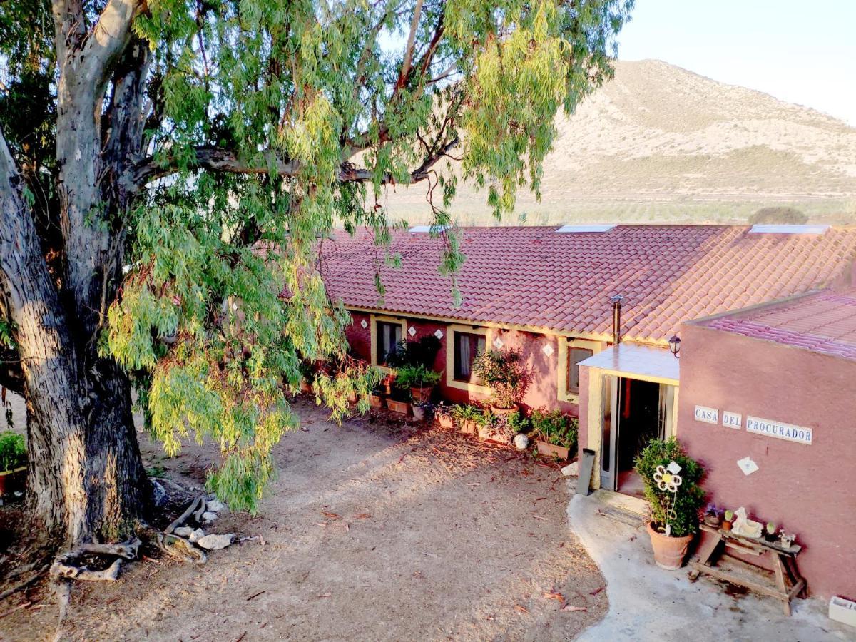 Las Virtudes Casa Del Procurador 게스트하우스 외부 사진