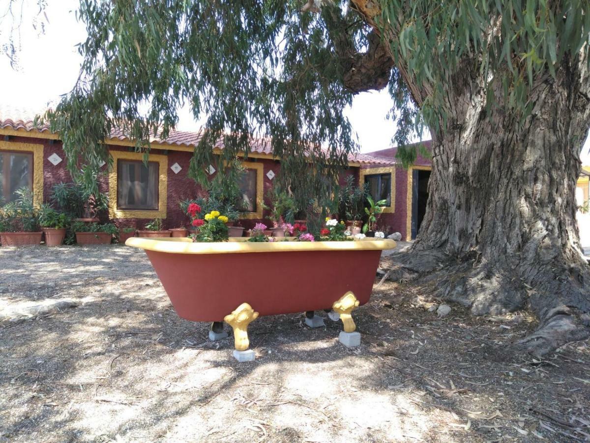 Las Virtudes Casa Del Procurador 게스트하우스 외부 사진